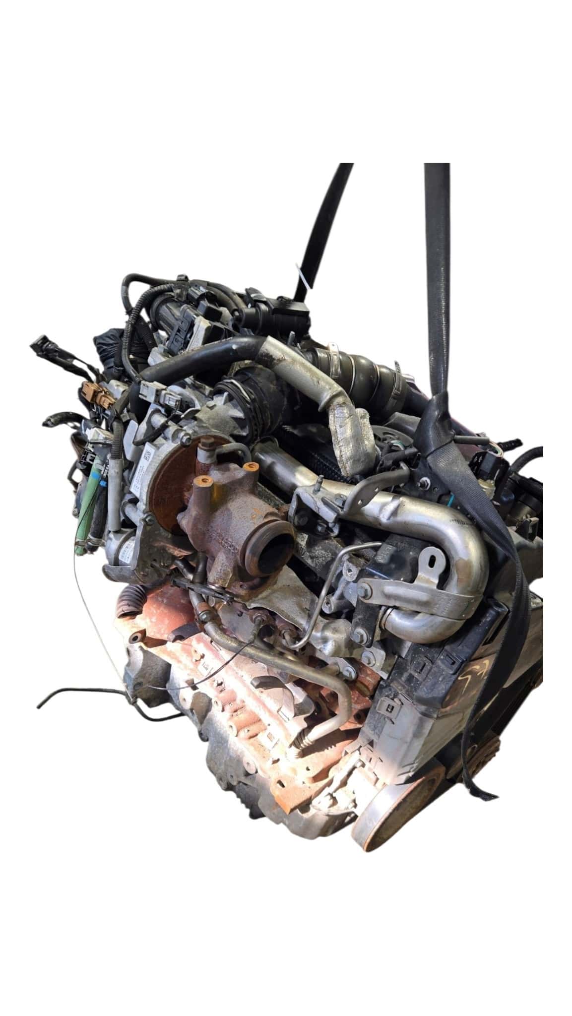Moteur K9K 626 vue 5