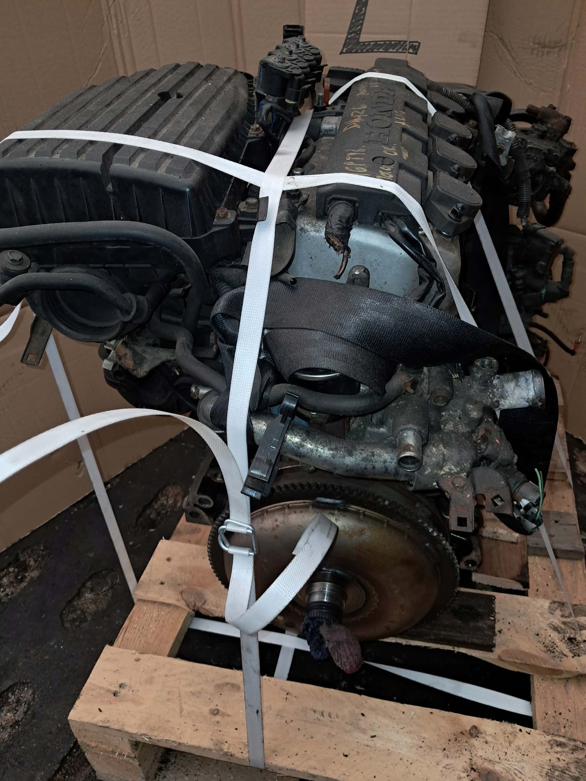 Moteur D14Z6 vue 7