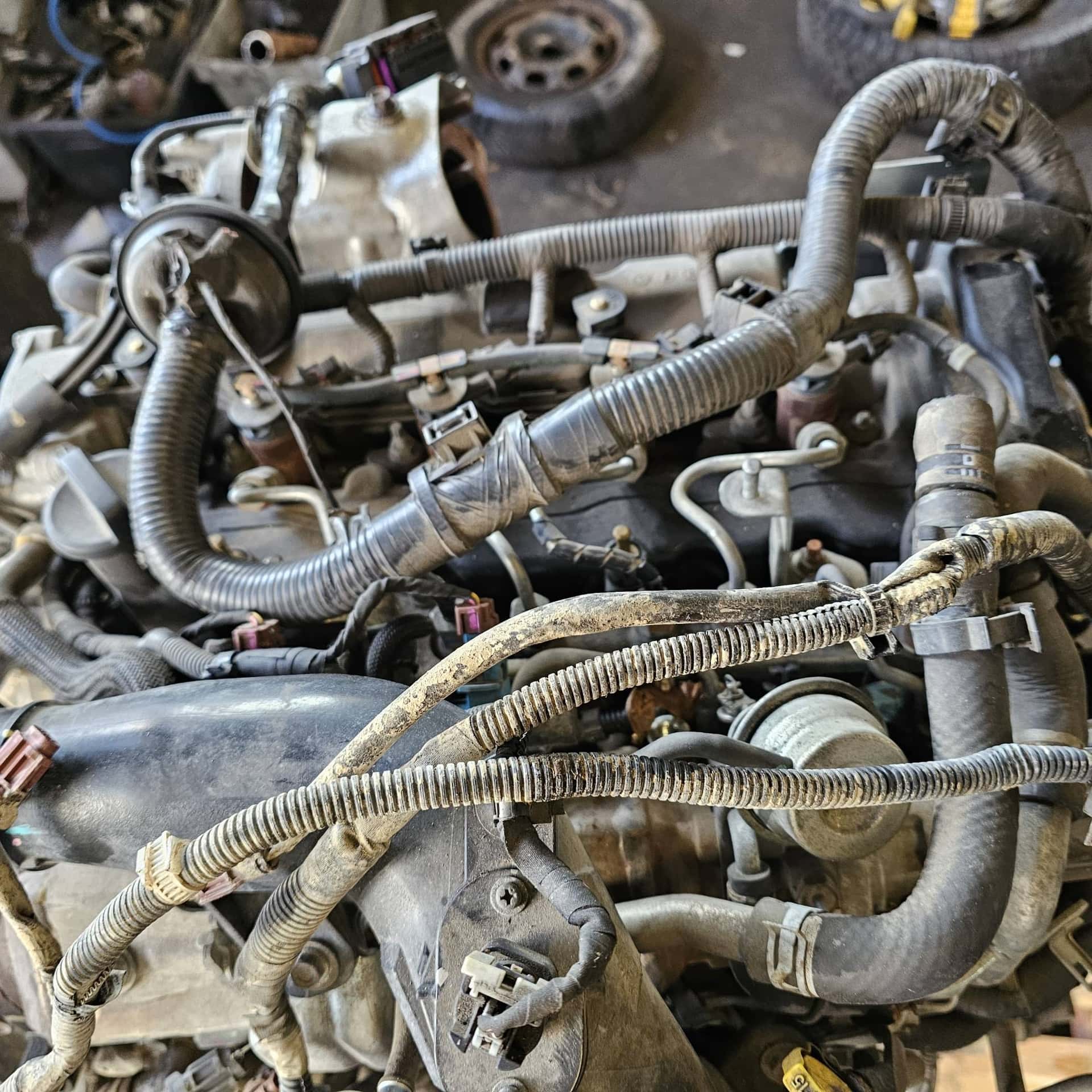 Moteur RZ4E-TCX vue 8