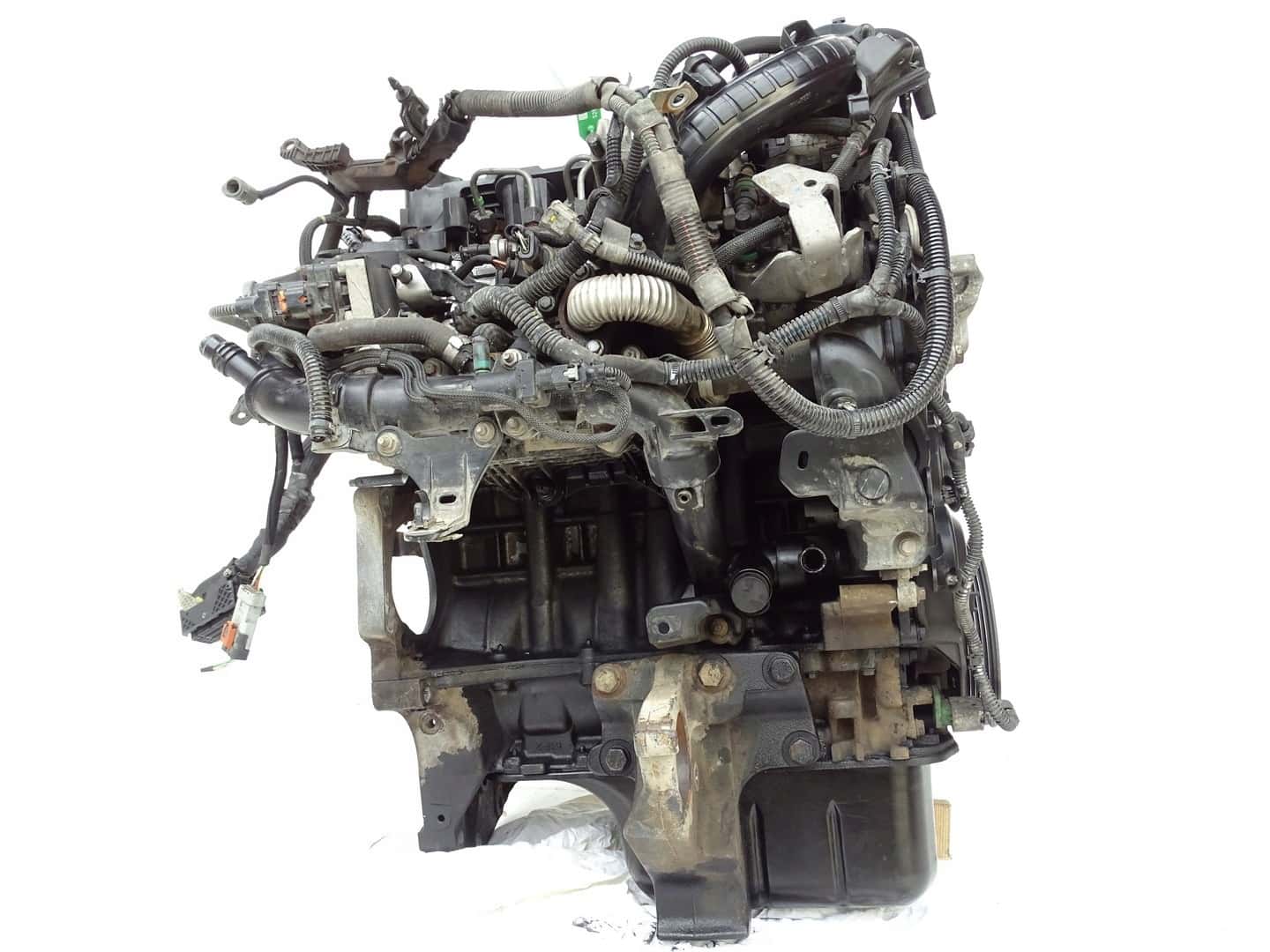 Moteur D 15 DTH (DV5RC) vue 6