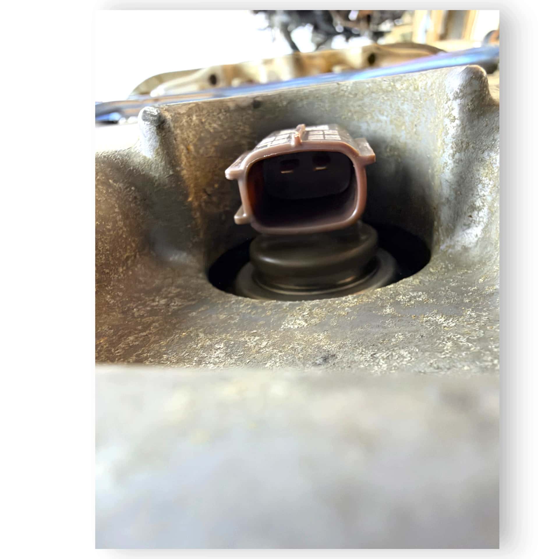 Moteur EE20Z vue 13