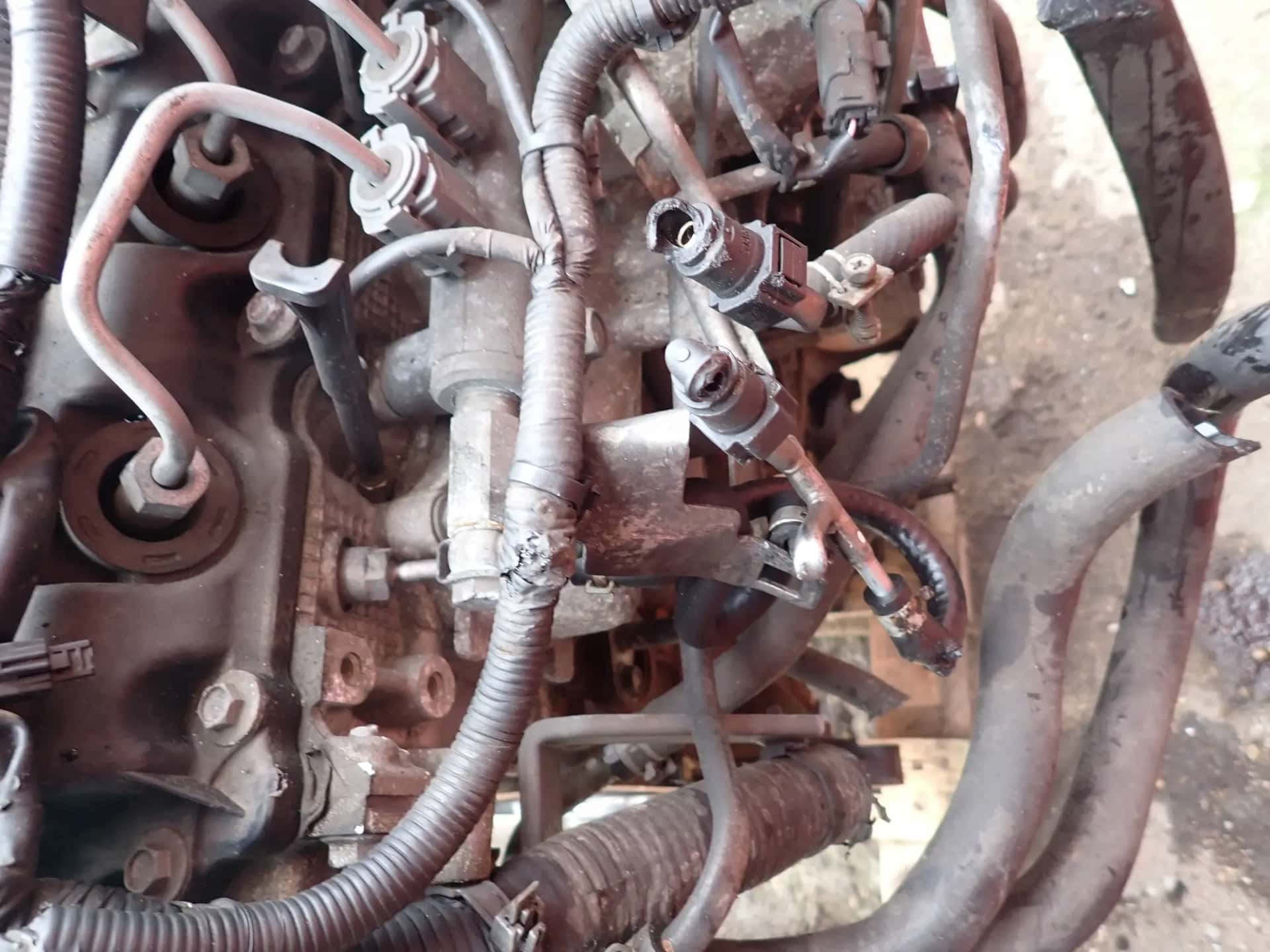 Moteur YD25DDTi vue 5