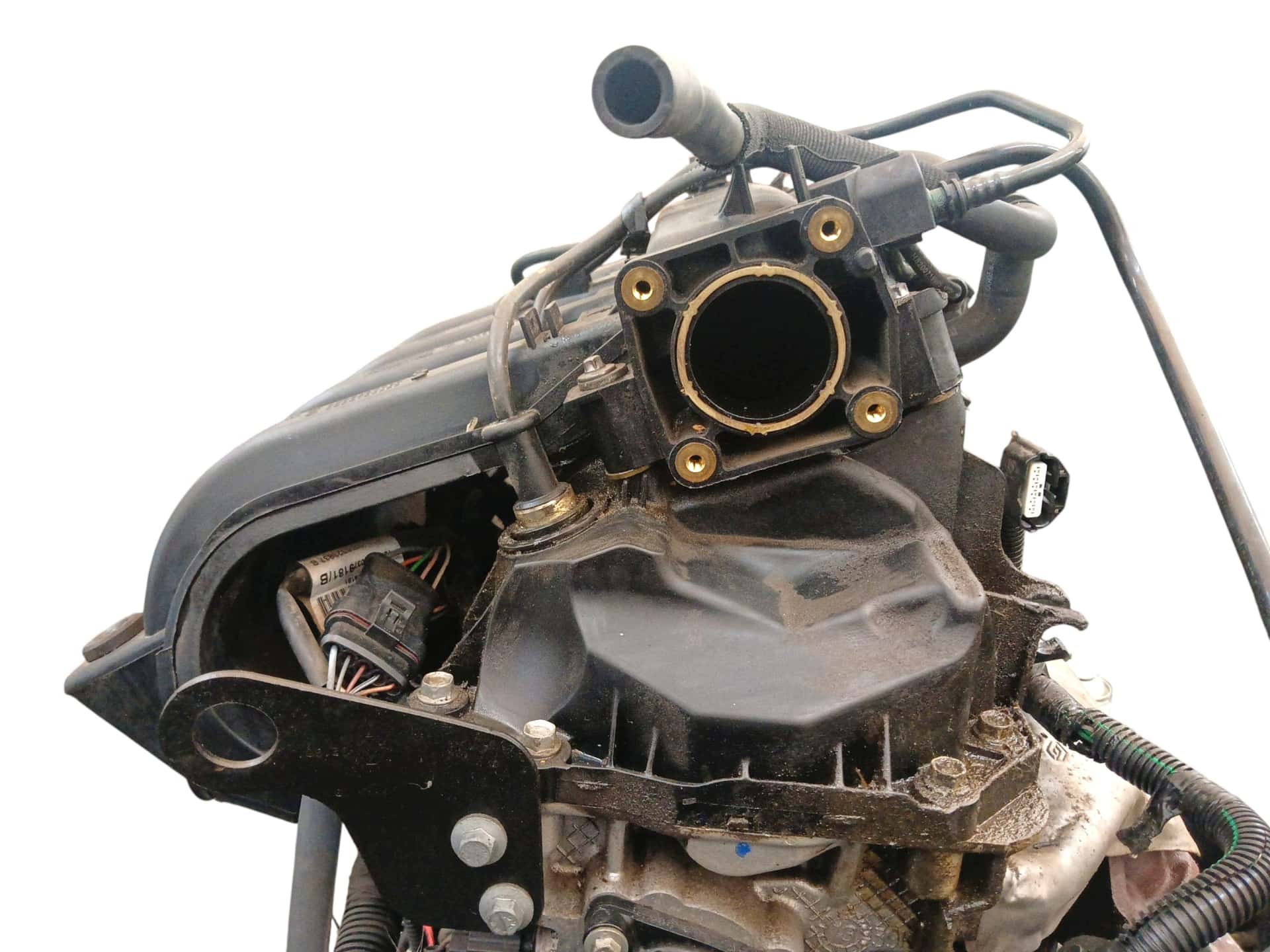 Moteur D4F 732 vue 6