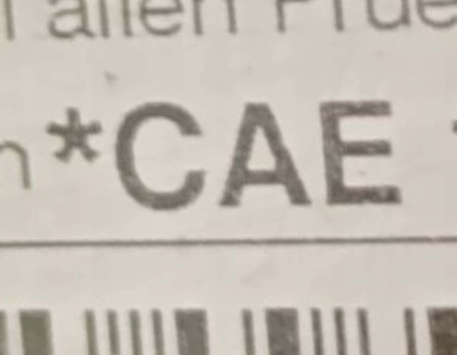 Moteur CAEA vue 3