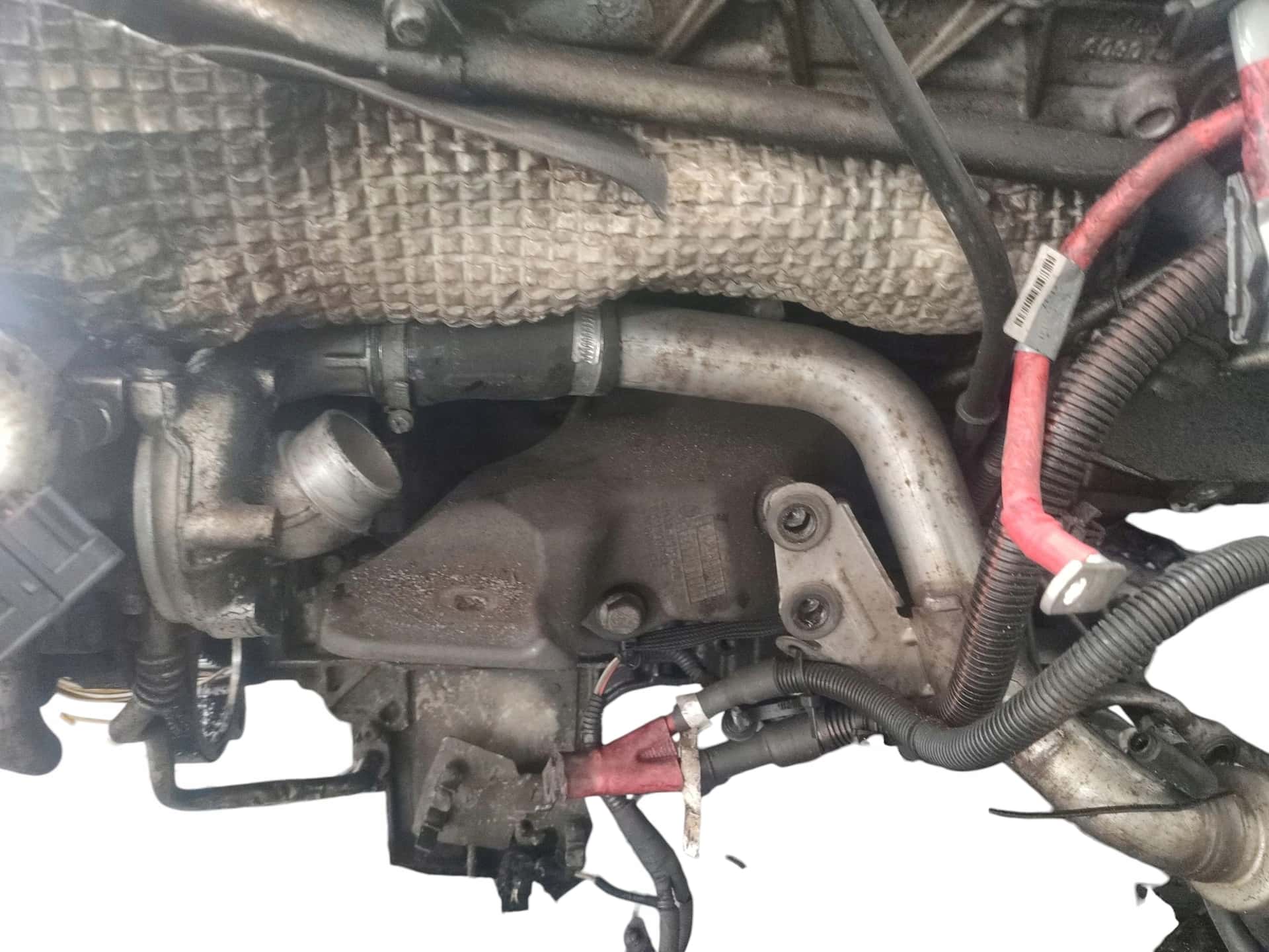 Moteur 368DT(LION) vue 5