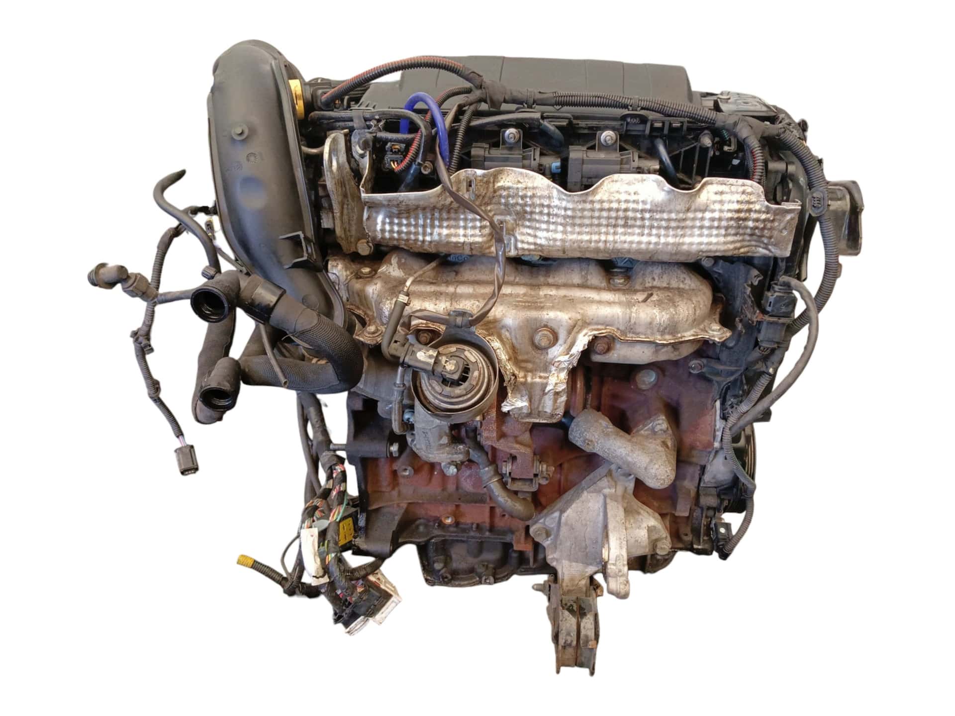Moteur RHE (DW10CTED4) vue 2