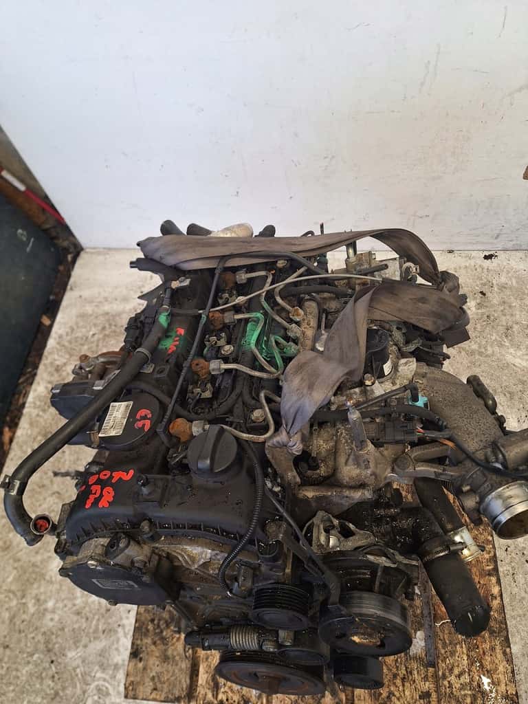 Moteur D20DTR vue 3