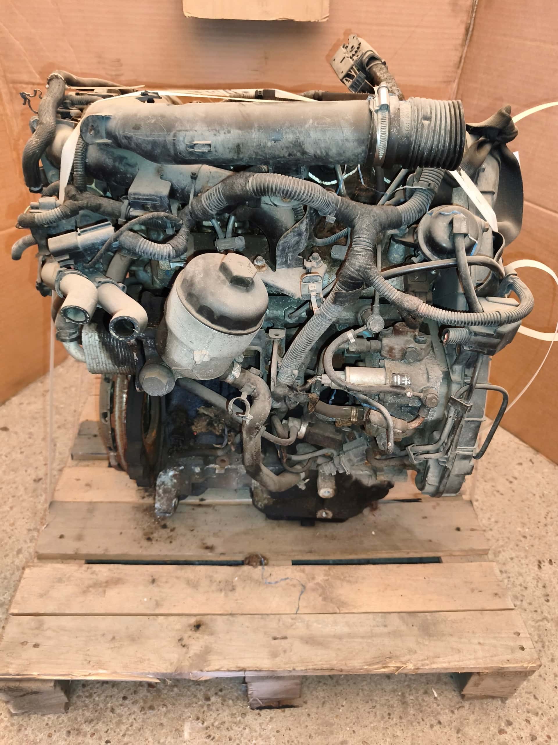 Moteur Z 17 DTH vue 9