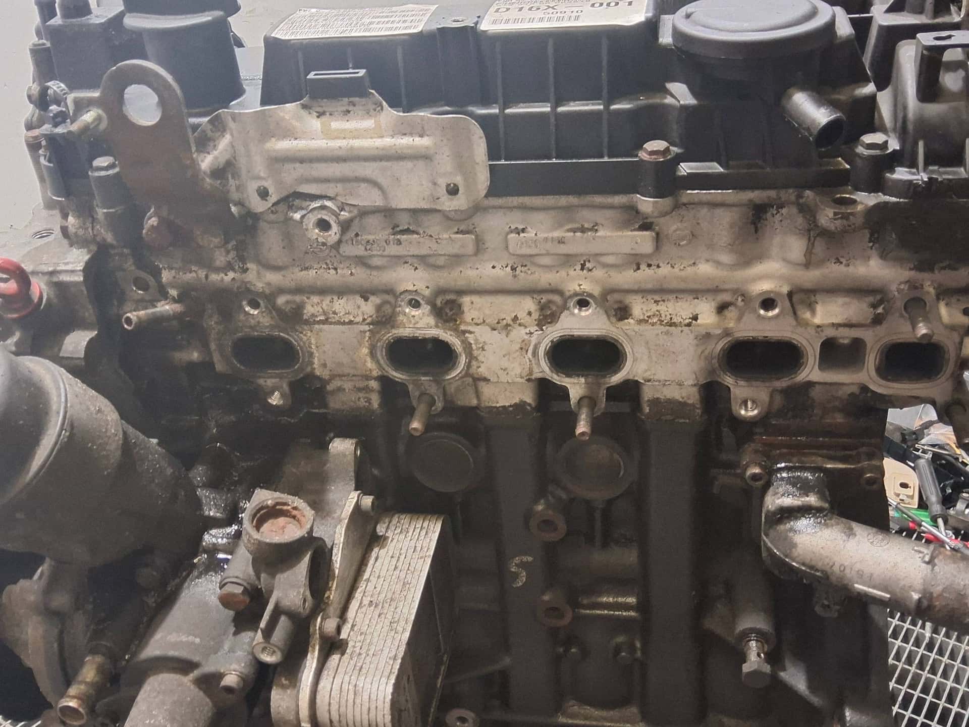 Moteur D16DTF vue 6