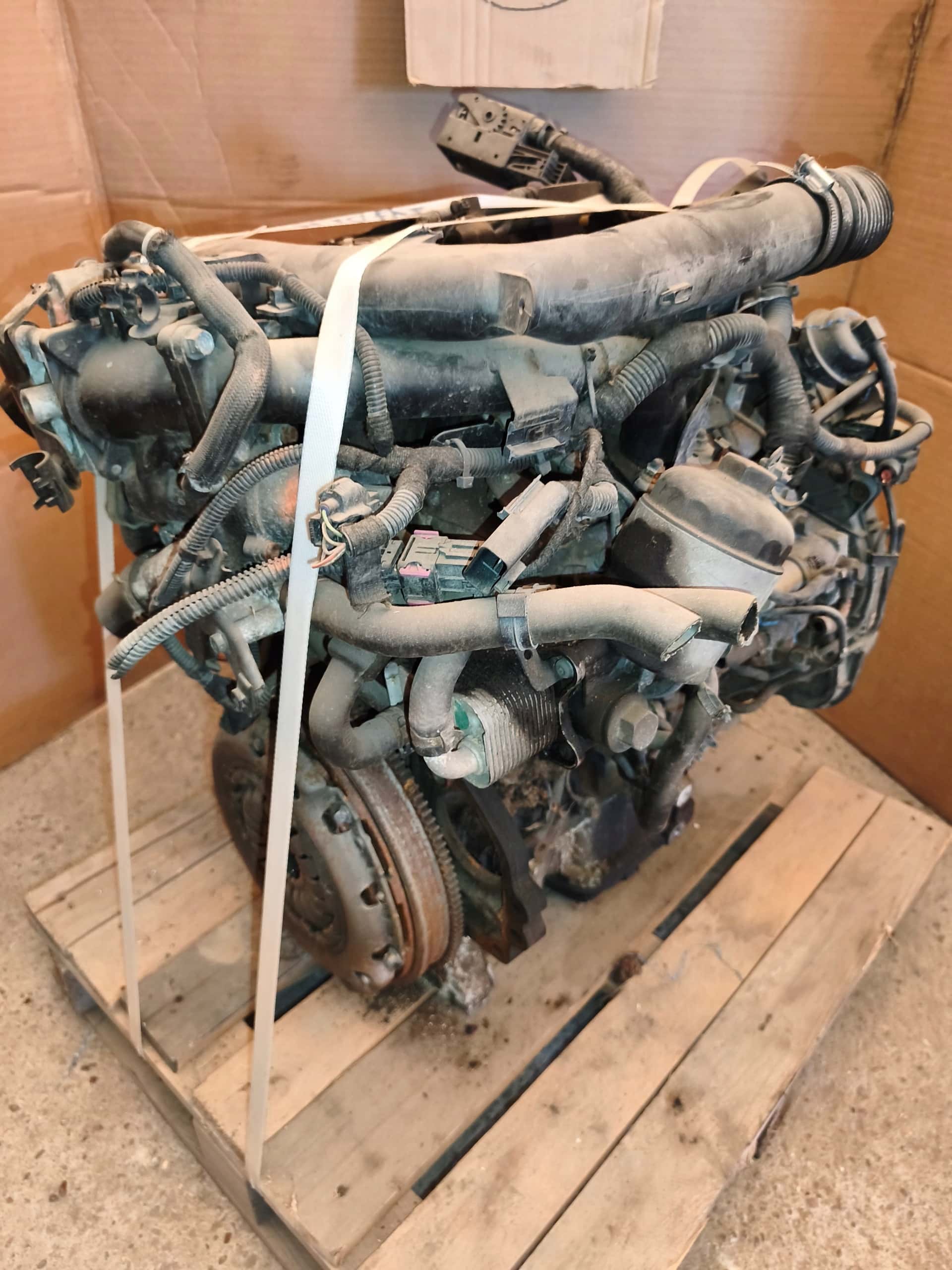 Moteur Z 17 DTH vue 11