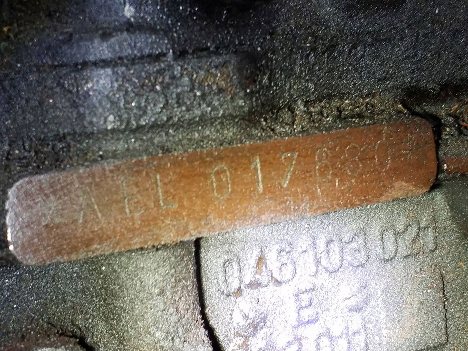 Moteur AEL — vue 4