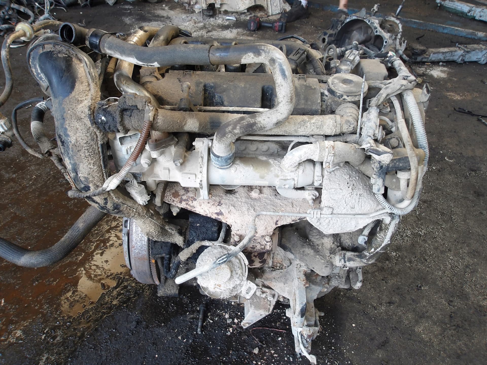 Moteur RHK (DW10UTED4) — vue 3