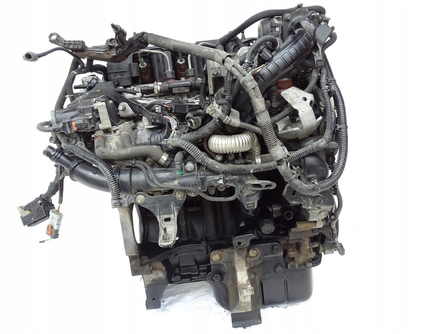 Moteur D 15 DTH (DV5RC) — vue 2