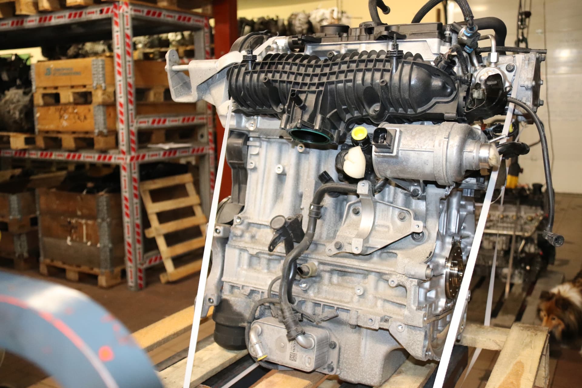 Moteur B 4204 T35 — vue 5