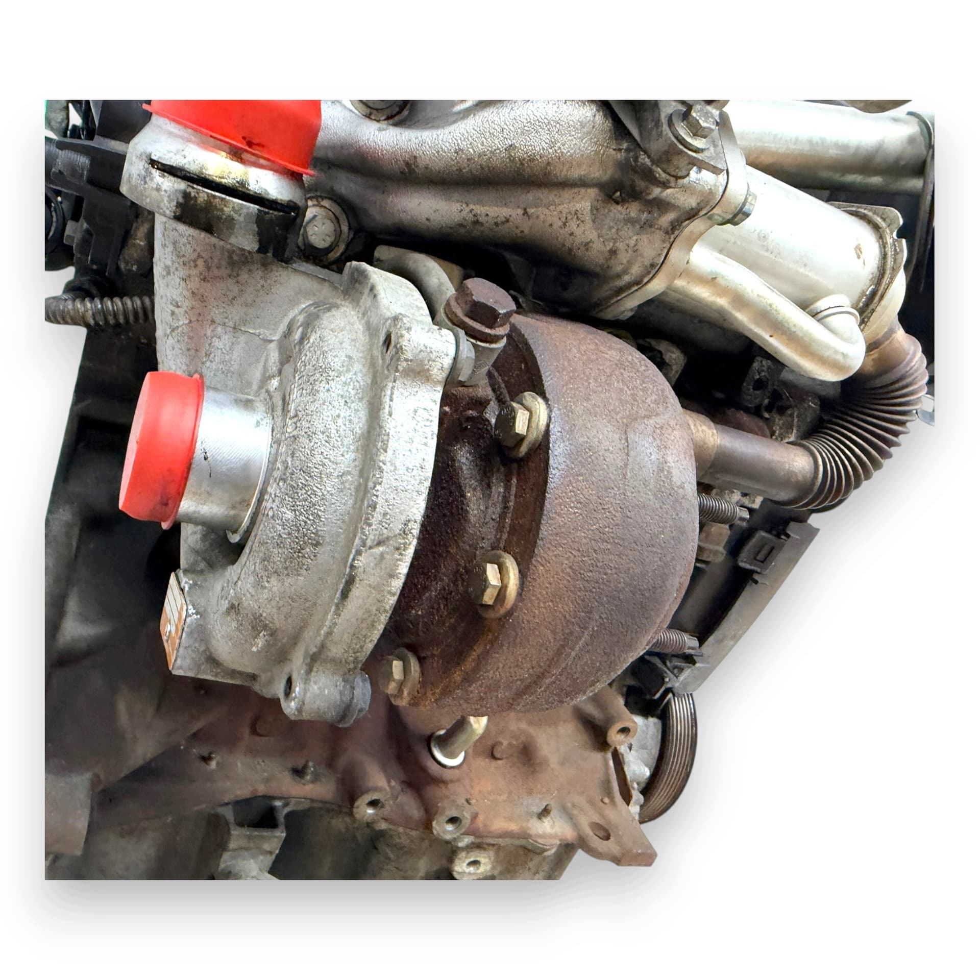 Moteur K9K 282 — vue 11