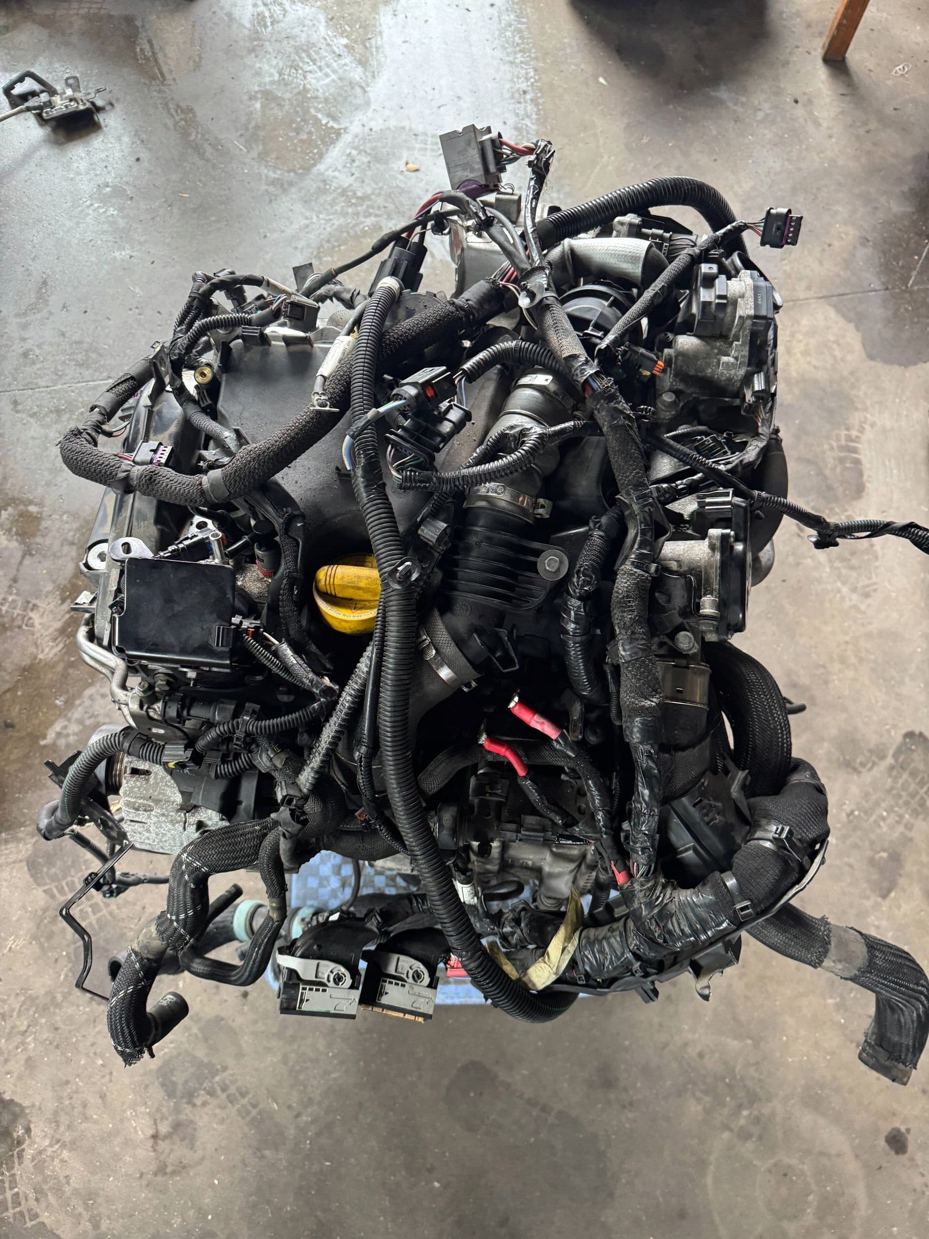 Moteur K9K 872 pour Dacia