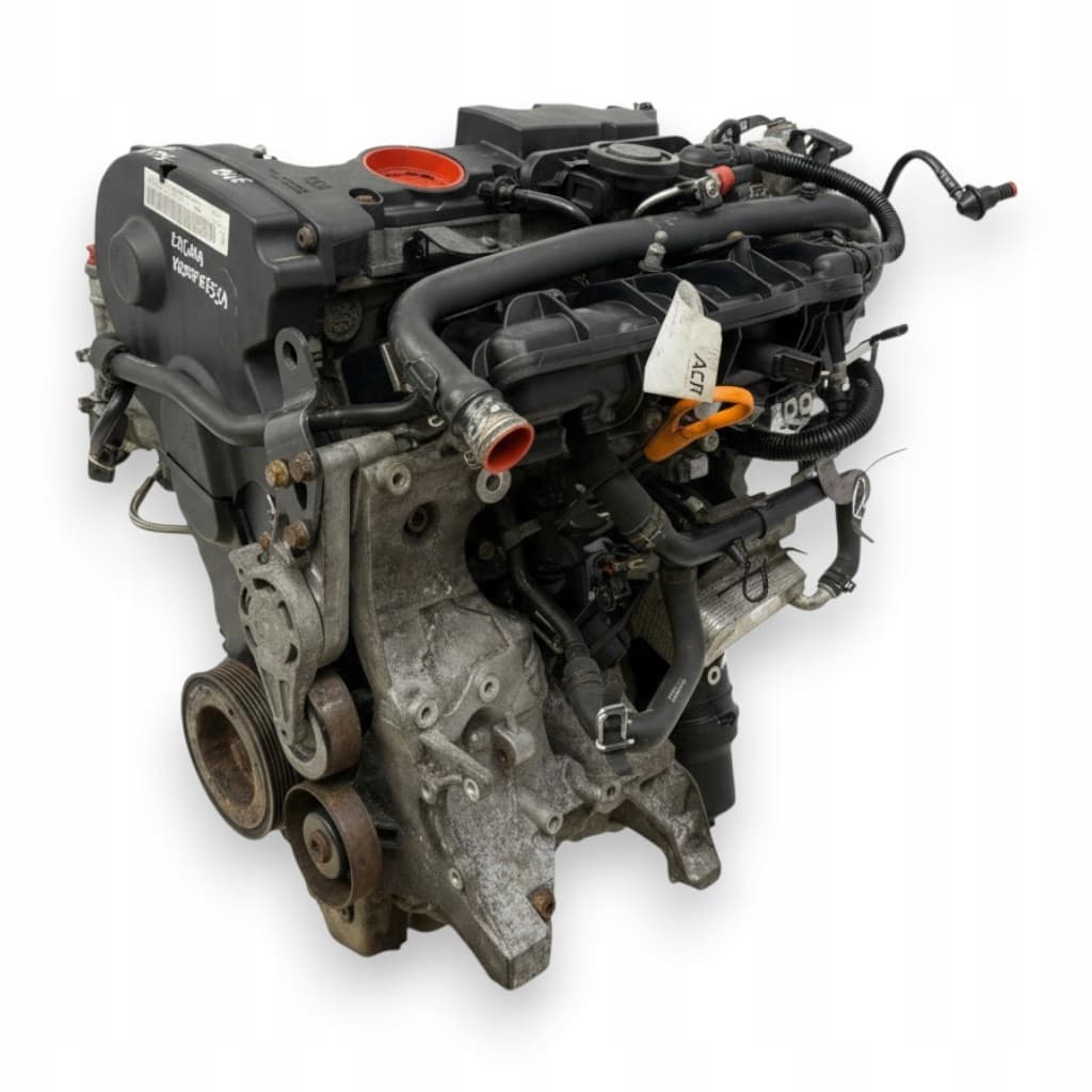 Moteur BWE pour Seat Exeo