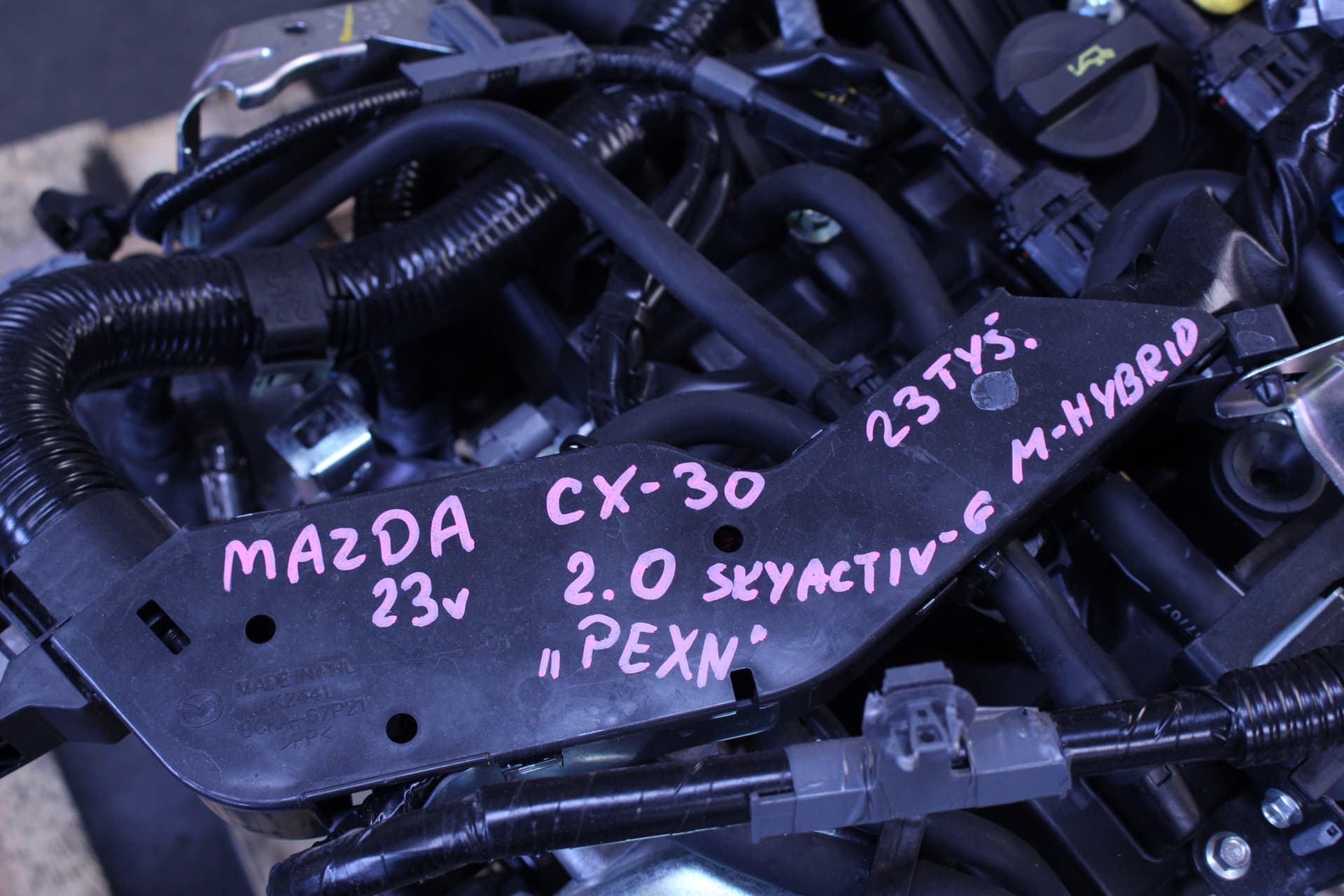Moteur PEXN — vue 5