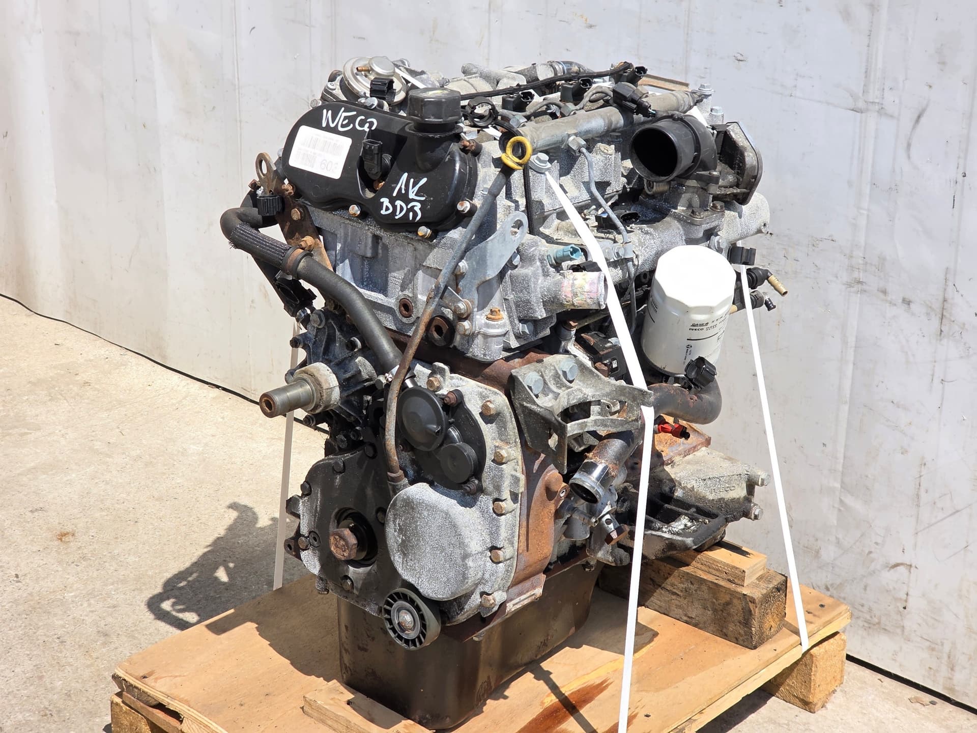 Moteur F1CE0481F pour Iveco Massif