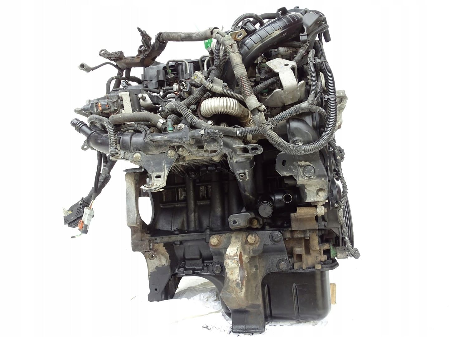 Moteur D 15 DTH (DV5RC) — vue 5