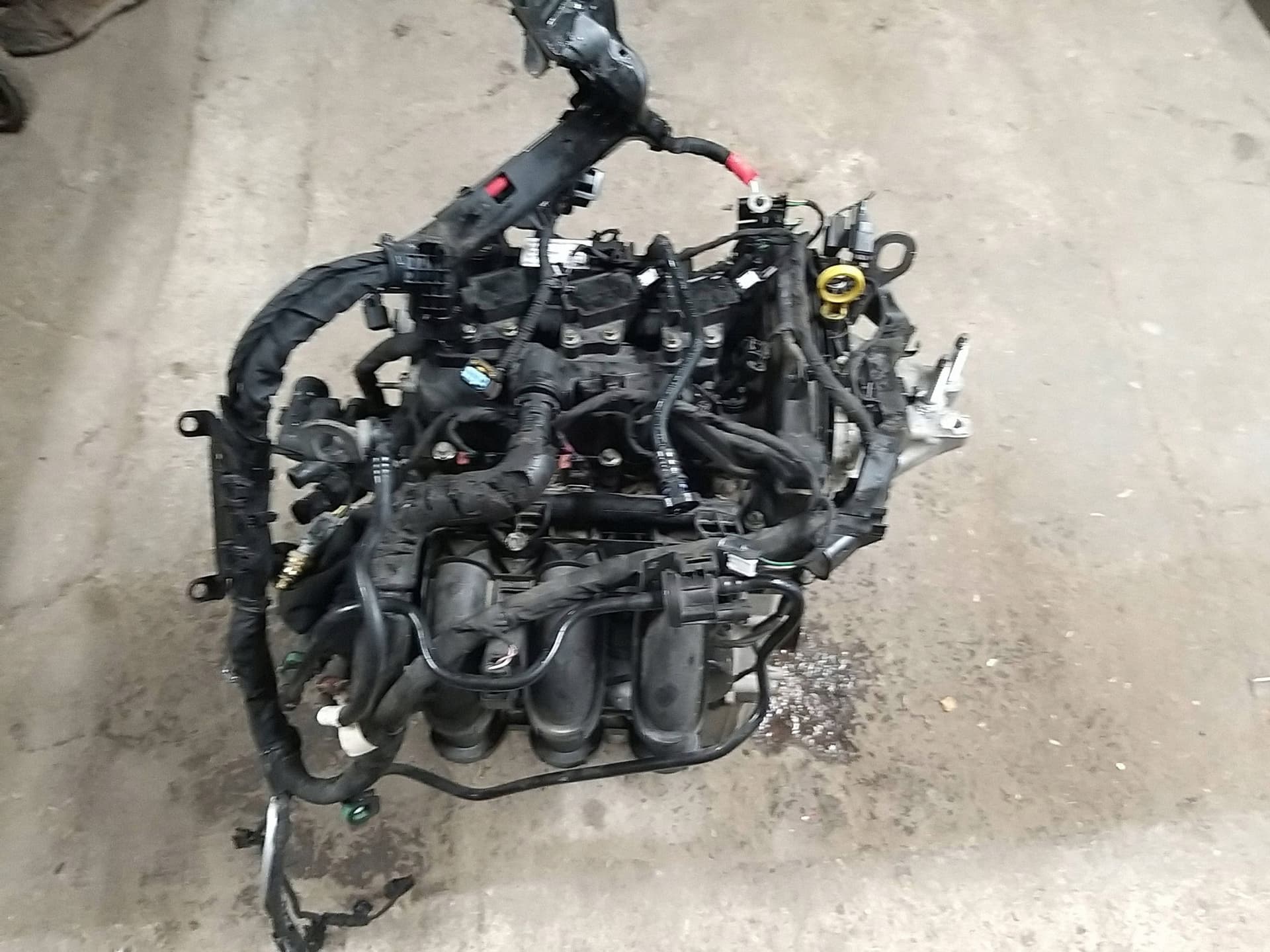 Moteur XYJD pour Ford Fiesta