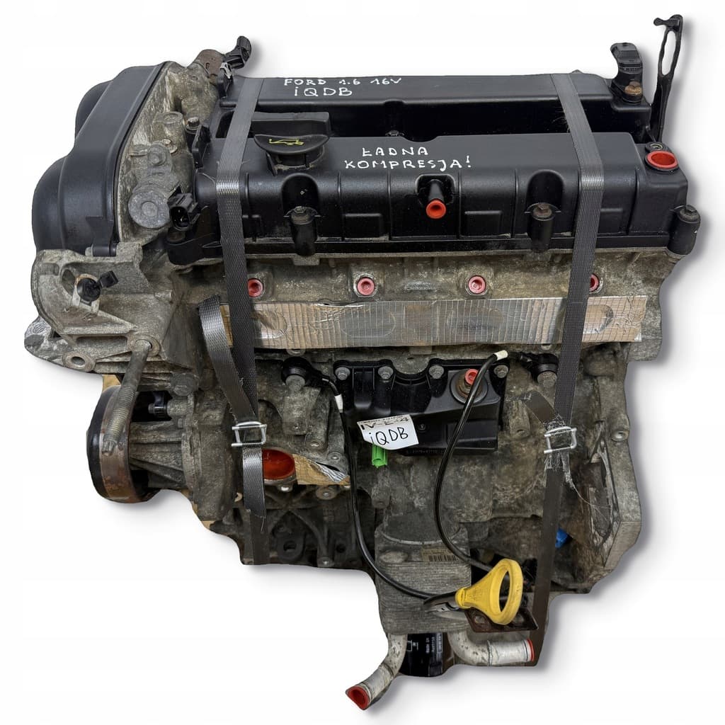 Moteur IQDB pour Ford Focus 1.6 Petrol