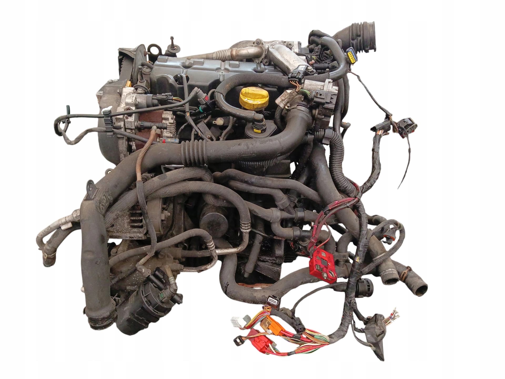 Moteur F9Q 803 pour Renault Megane