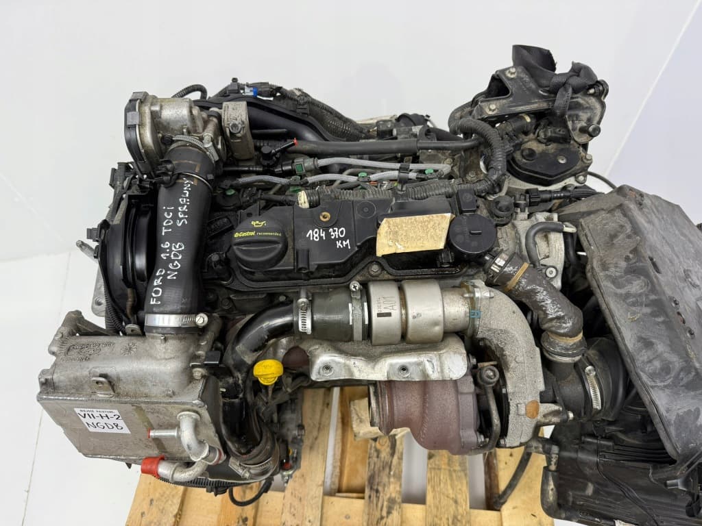 Moteur NGDB — vue 3