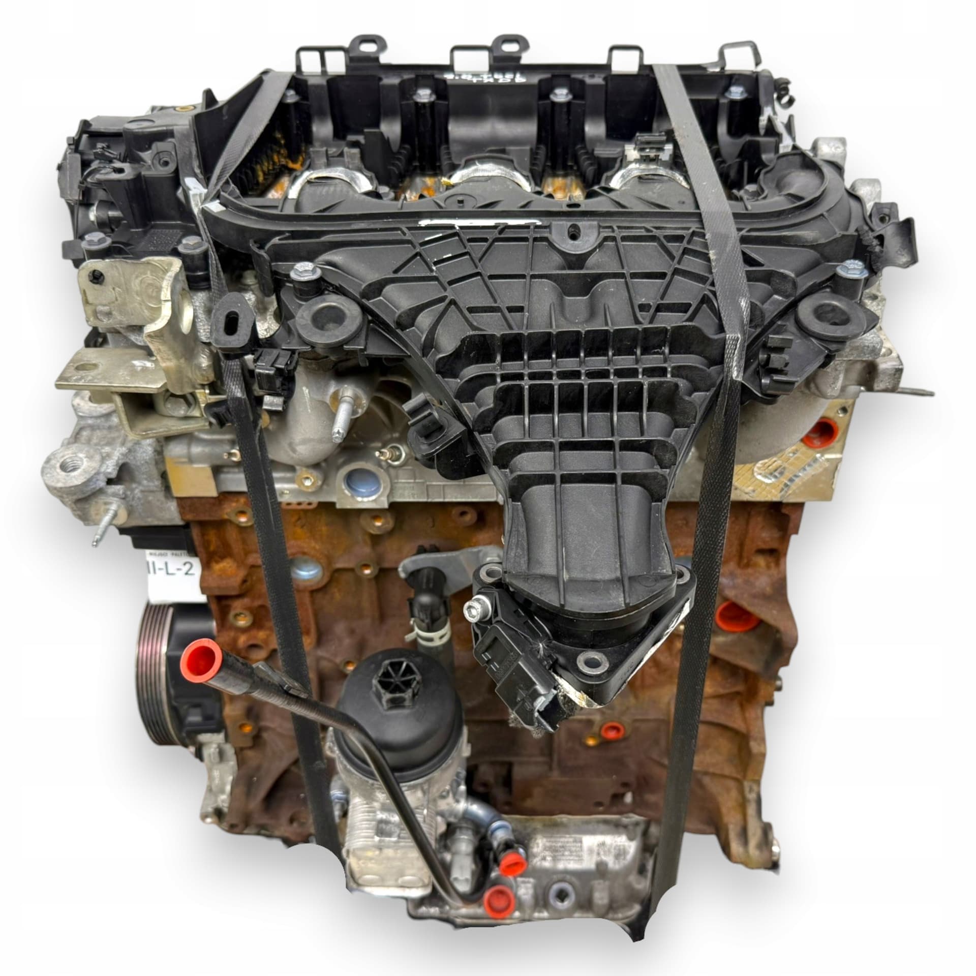 Moteur TXDB pour Ford Kuga 2.0 Diesel