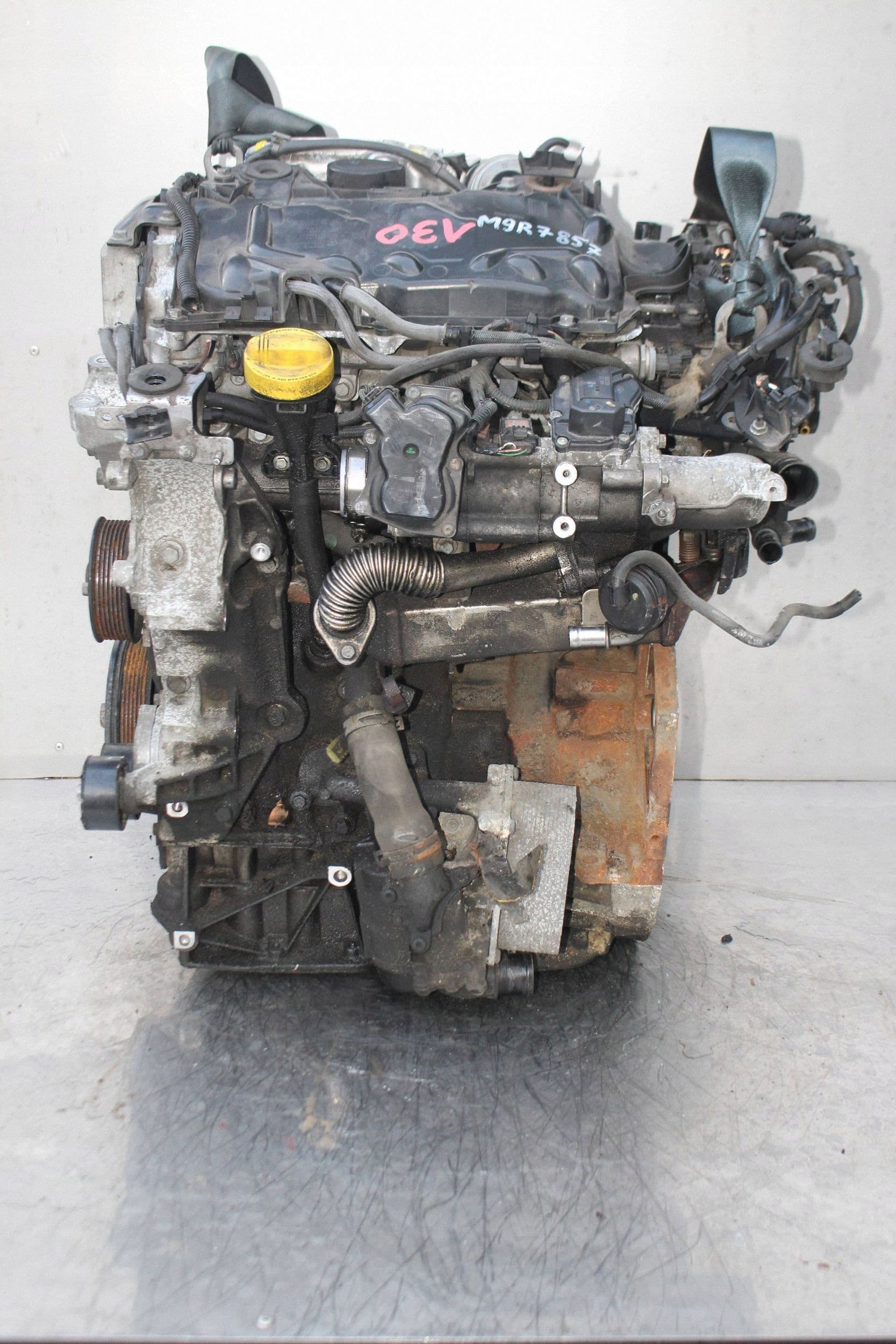 Moteur M9R 857 pour Renault Laguna 2.0 Diesel