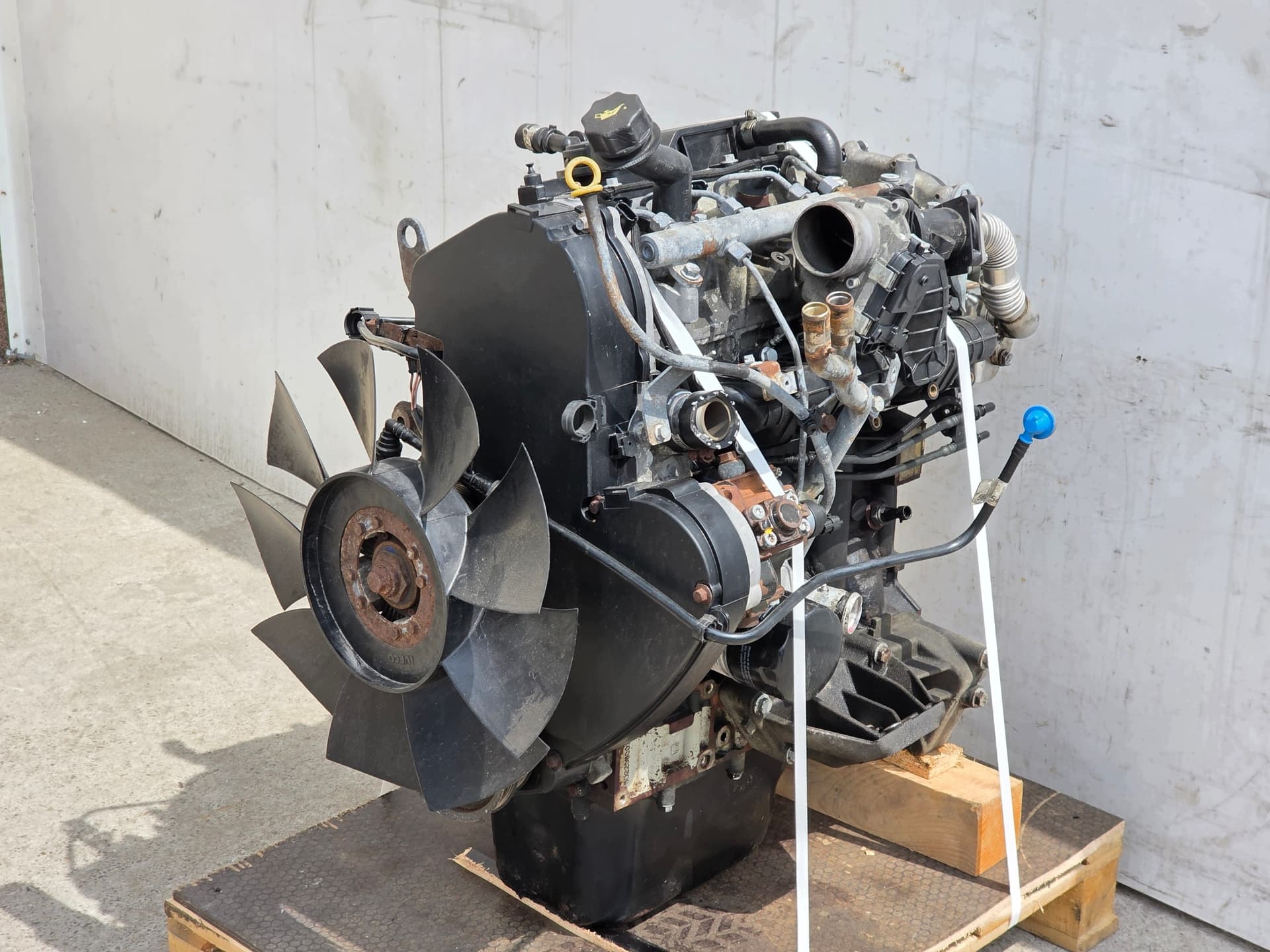 Moteur F1AE3481C pour Iveco Daily 2.3 Diesel