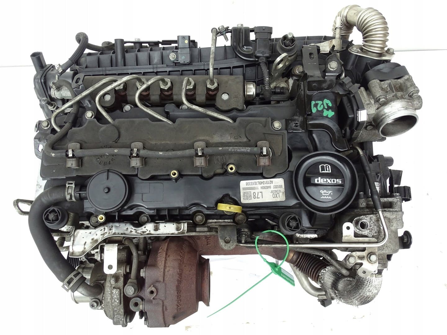 Moteur D 16 DTN — vue 9