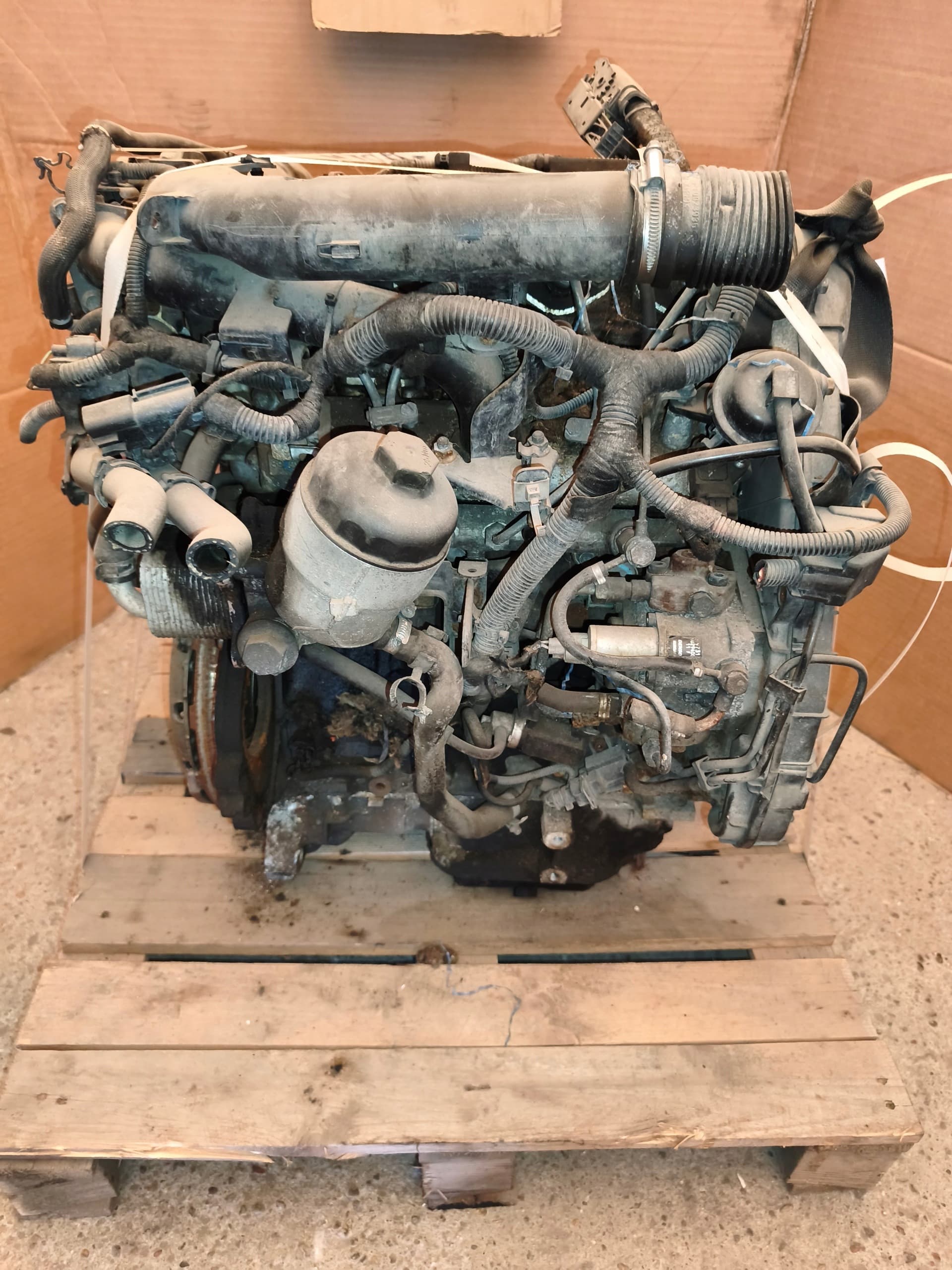 Moteur Z 17 DTH — vue 9