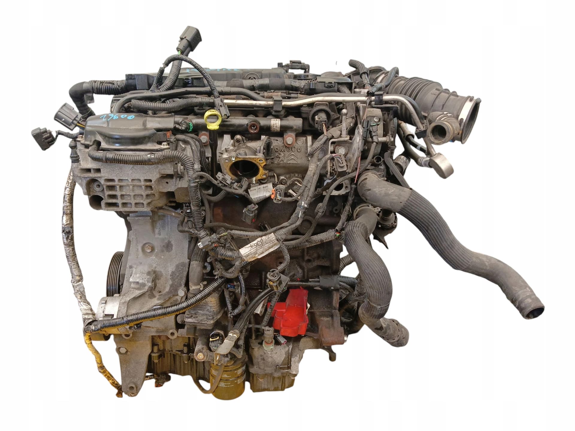 Moteur T7CF pour Ford Mondeo 2.0 Diesel
