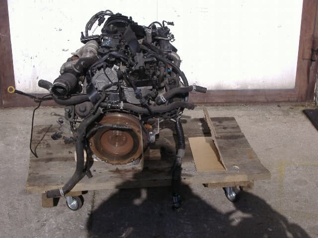 Moteur 8HP (DV4C) - Image 1