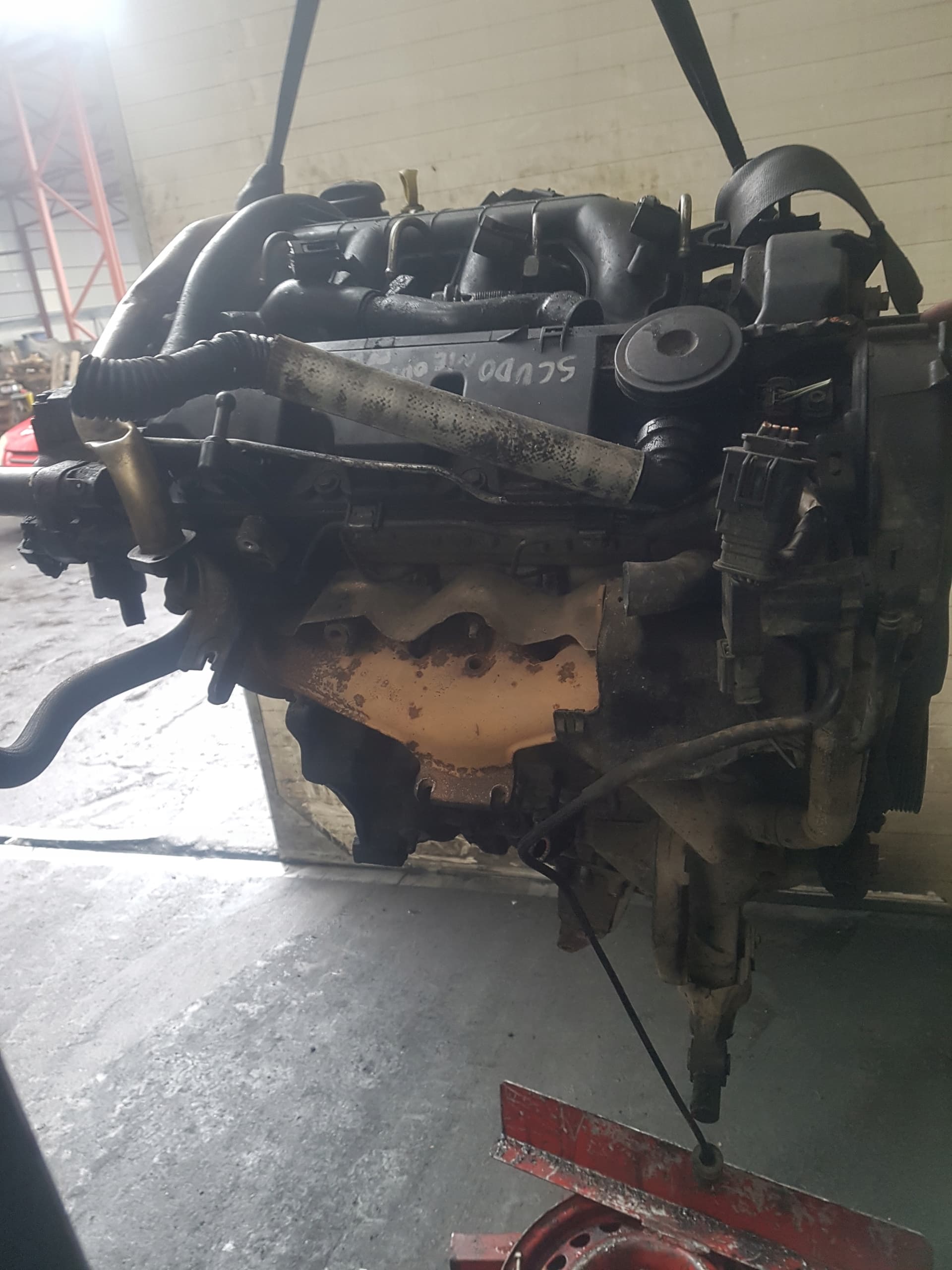Moteur D8B pour Fiat Scudo 1.9 Diesel