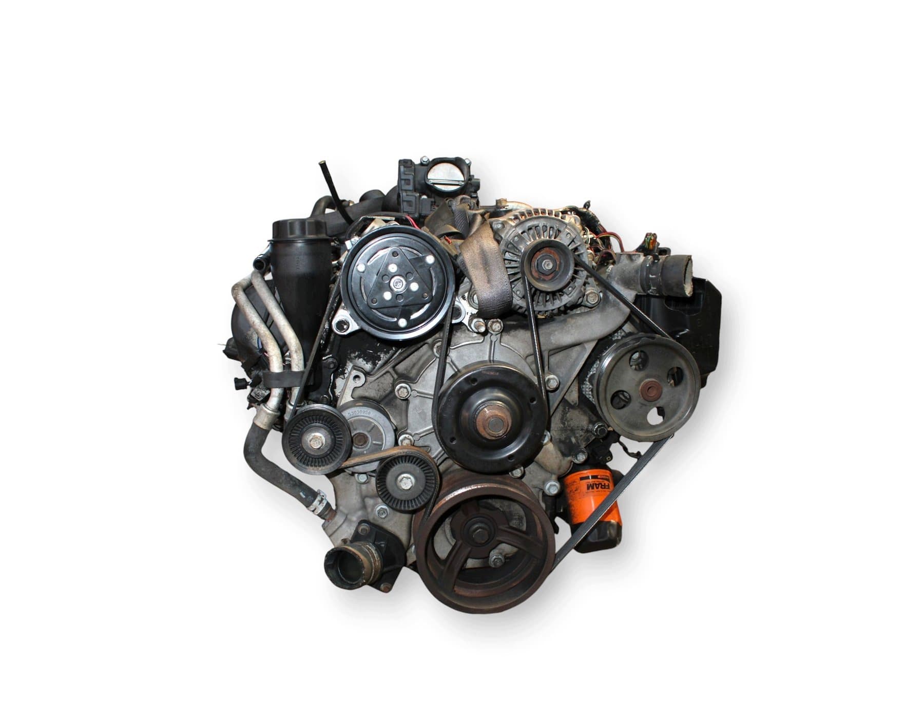 Moteur EKG - Image 1